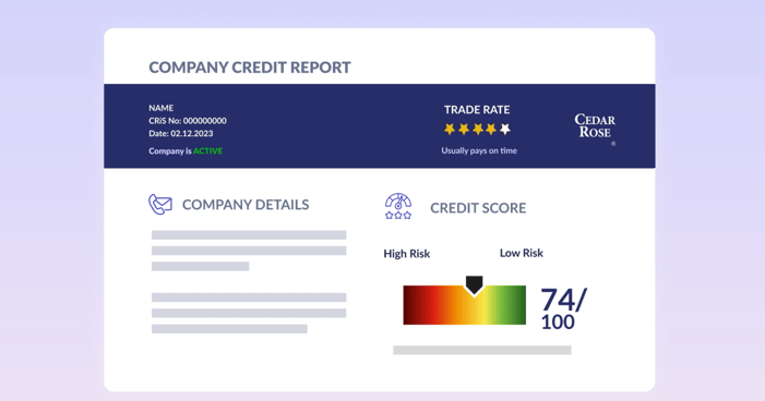 May3- the importance of credit risk-1